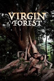 Video Bokep Virgin Forest (2022) Sub Indo