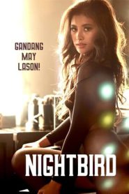 Video Bokep Nightbird (2023) Sub Indo